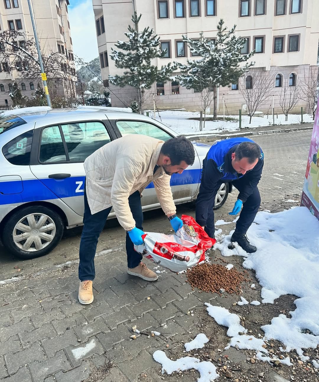 Göynük Belediyesi’nden Sokak Hayvanları İçin Mama Desteği