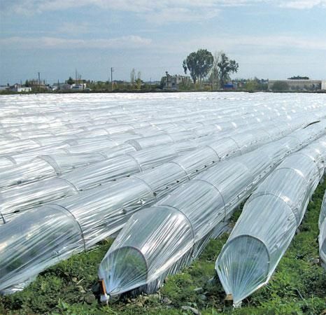 Bolu’da seracılığa büyük katkı… %50 katkı paylı sera naylonu dağıtımı başladı!