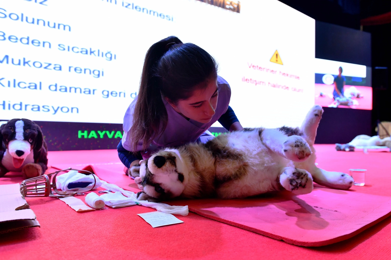 Ankara’da Sokak Hayvanlarına Büyük Destek