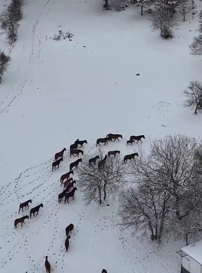Haber videoları